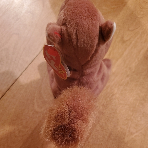 TY Beanie Baby - NUTS the Squirrel (5.5 inch) - Retired 1996 - Picture 3 of 7